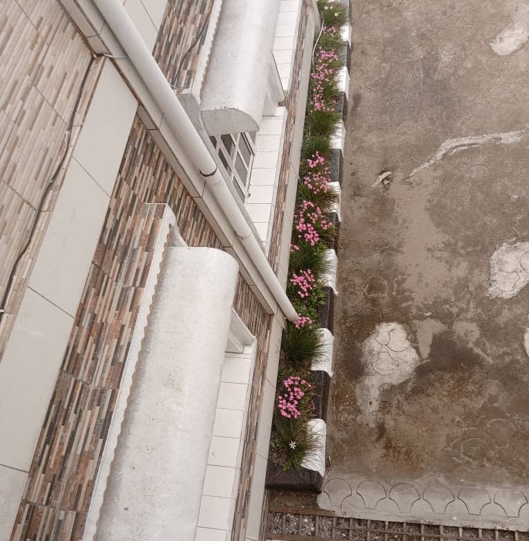 Prime 4-Bedroom Family Residence for Sale in Federal Quarters, Buea